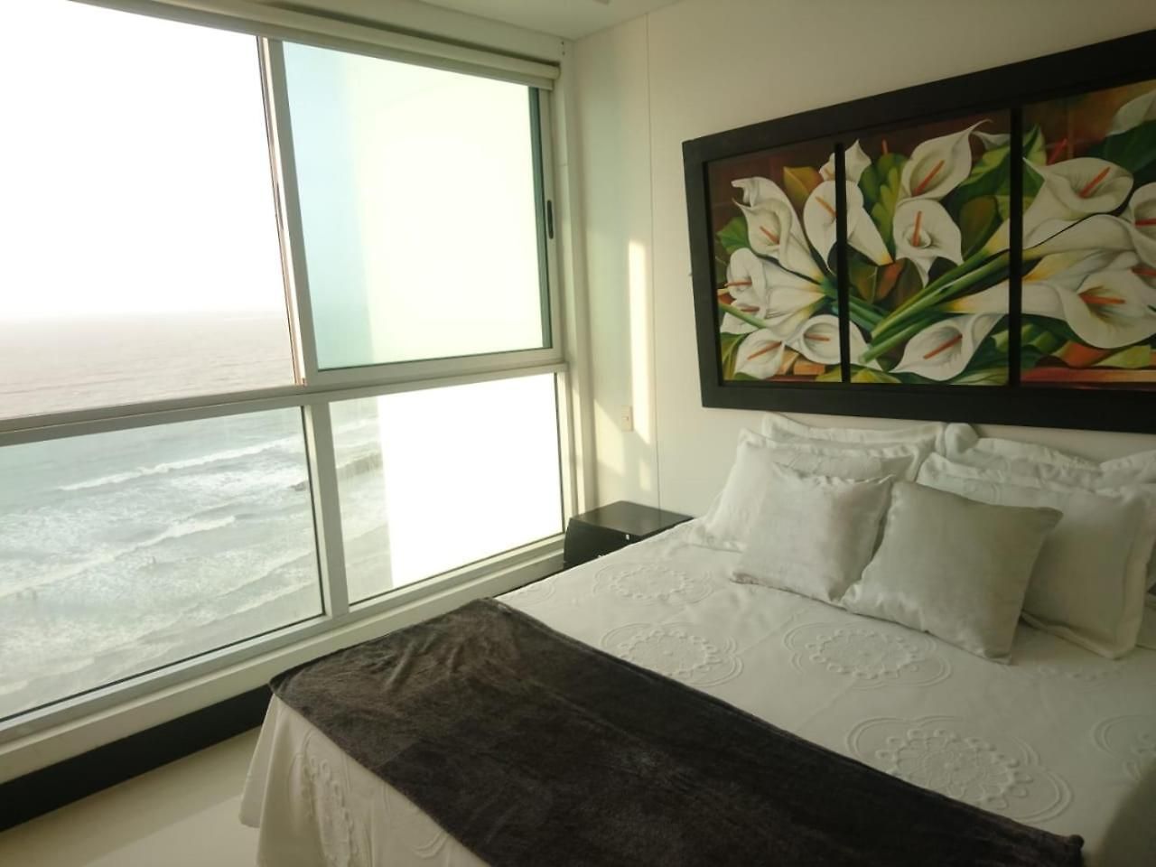 Palmetto Elíptic Con Buena Vista Al Mar * Cartagena
