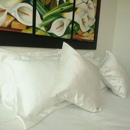 Apartamento Palmetto Eliptic Con Buena Vista Al Mar